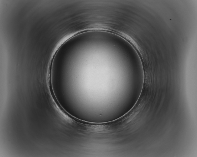 X0000088391387200705221105