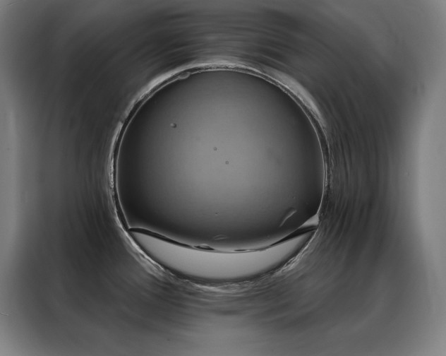 X0000088391388200705221105