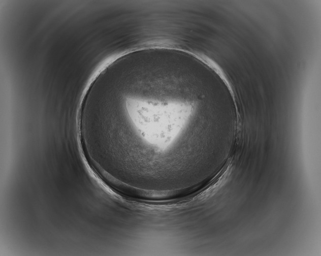 X0000088391389200705221105