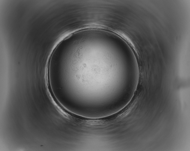 X0000088391391200705221105