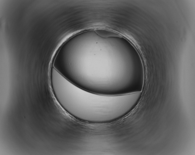 X0000088391392200705221105