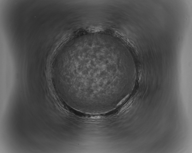 X0000088391393200705221104