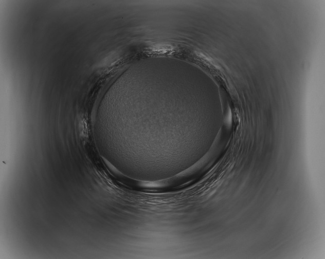 X0000088391394200705221104