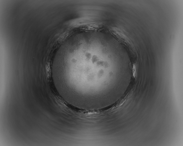 X0000088391395200705221105