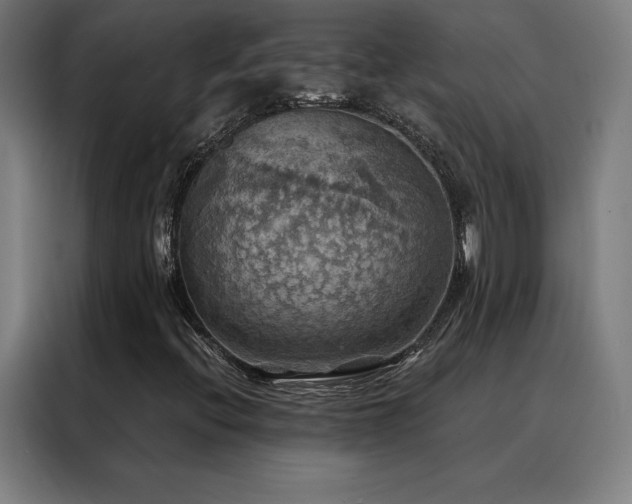 X0000088391396200705221105