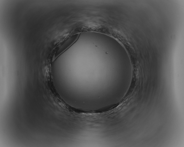 X0000088391397200705221105