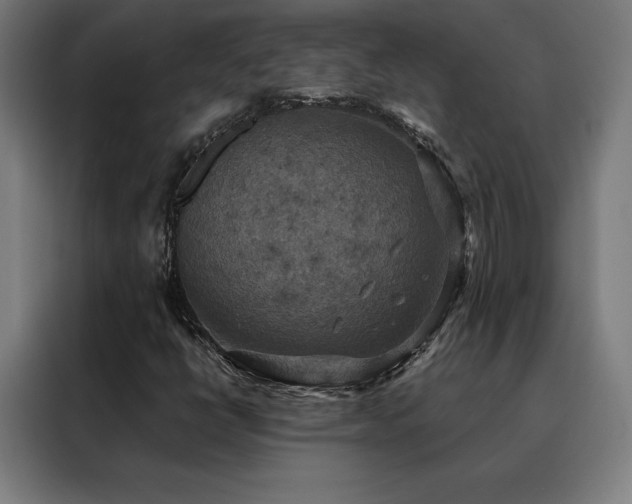 X0000088391398200705221105