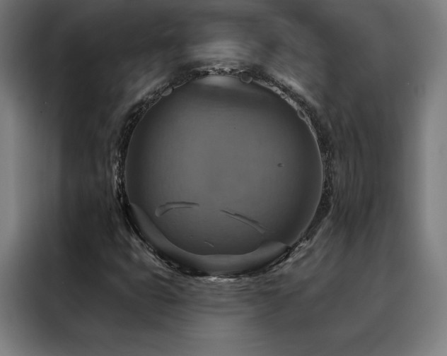 X0000088391399200705221105