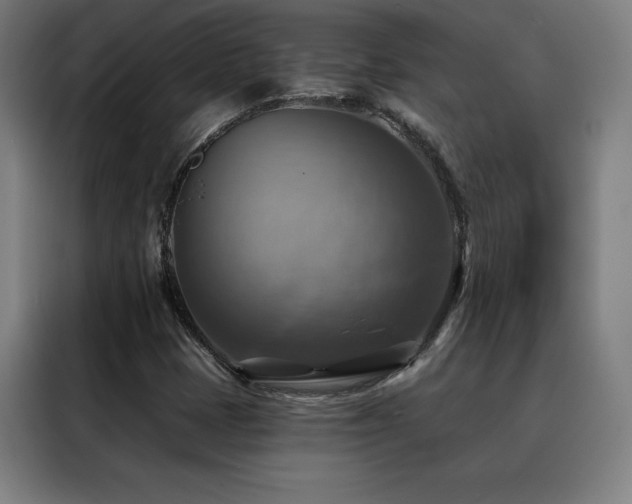 X0000088391401200705221105