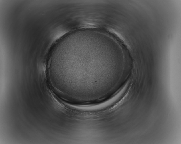 X0000088391402200705221105