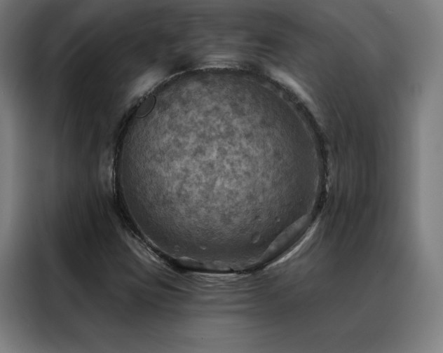 X0000088391403200705221105