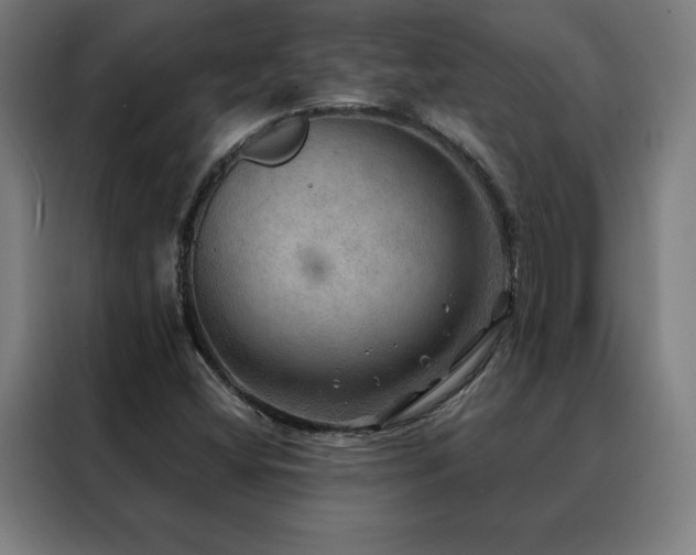 X0000088391404200705221105