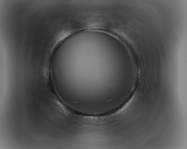 X0000088391405200705221105