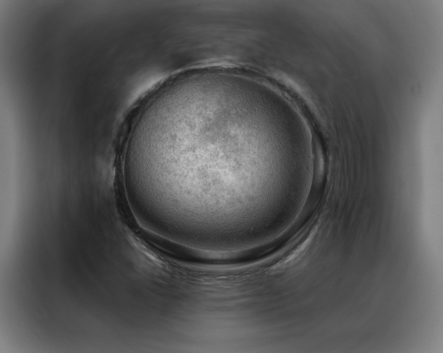 X0000088391406200705221105