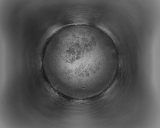 X0000088391407200705221105