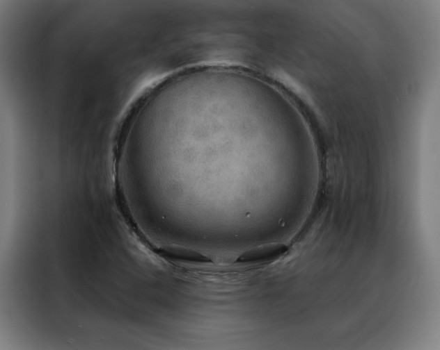 X0000088391408200705221105