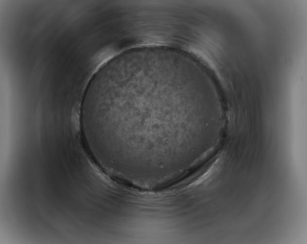 X0000088391409200705221105