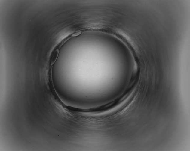 X0000088391410200705221105