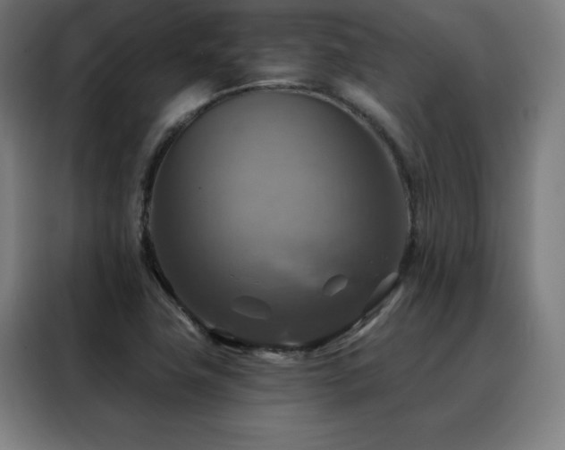 X0000088391411200705221105