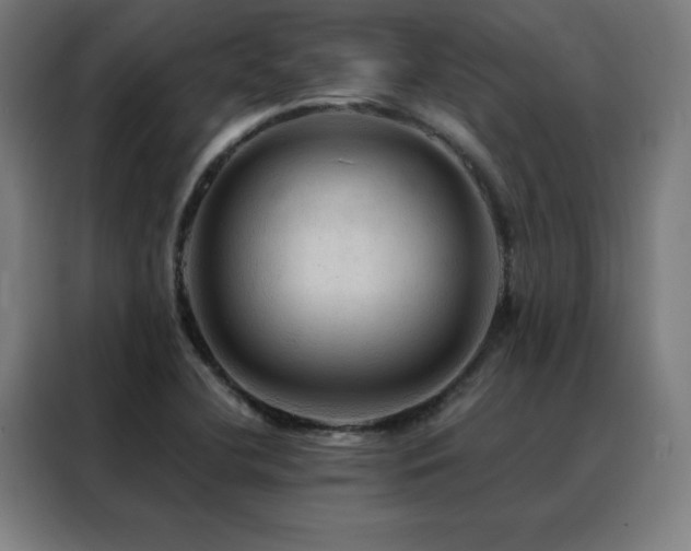 X0000088391412200705221105