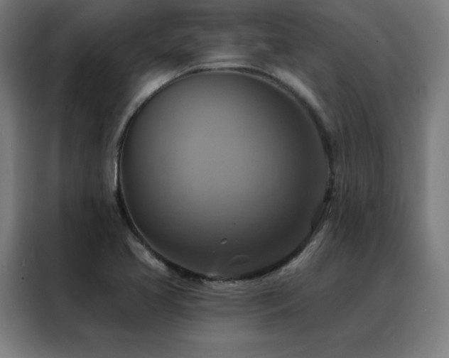 X0000088391413200705221105