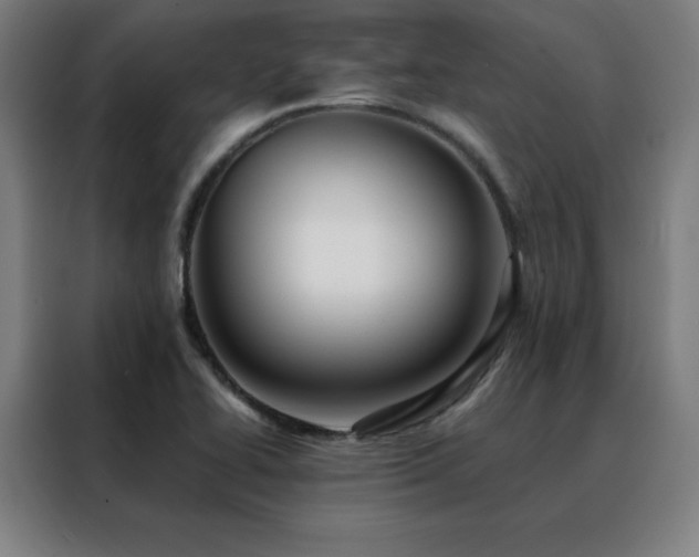 X0000088391414200705221105