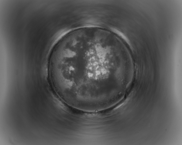 X0000088391415200705221105