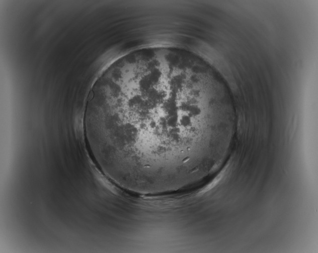 X0000088391417200705221105