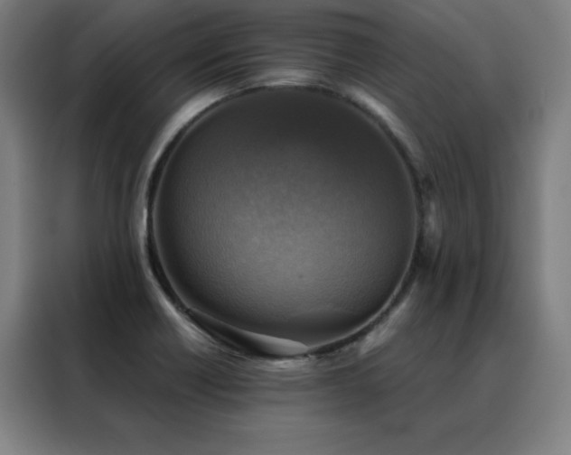 X0000088391418200705221105