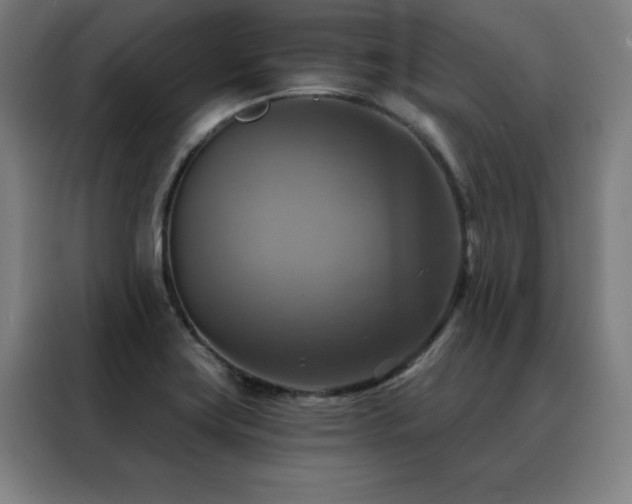 X0000088391419200705221105