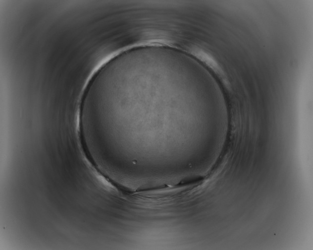 X0000088391420200705221105