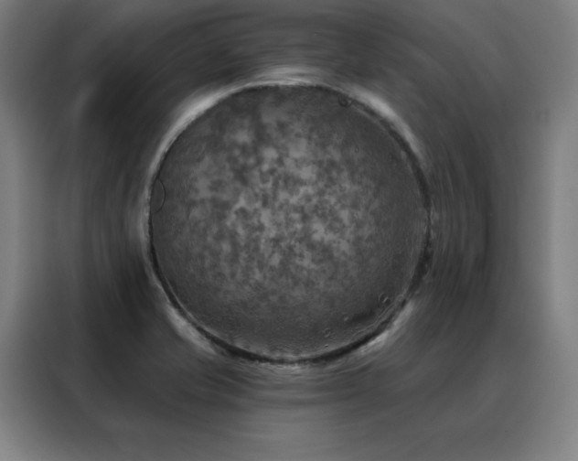 X0000088391421200705221105