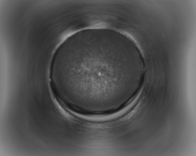 X0000088391422200705221105