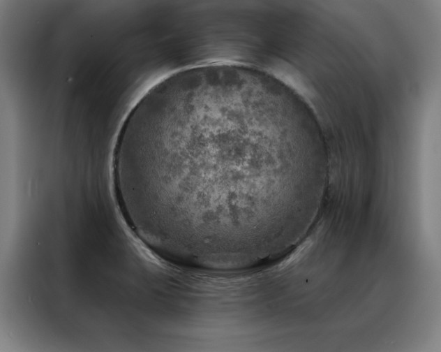 X0000088391423200705221105