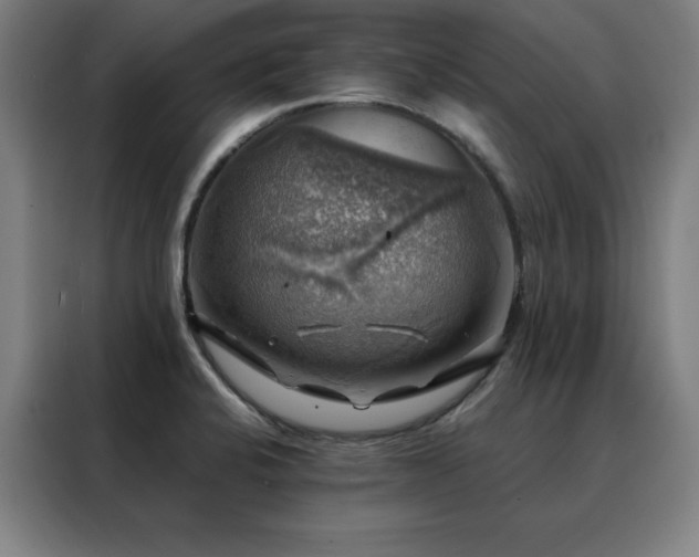 X0000088391424200705221105