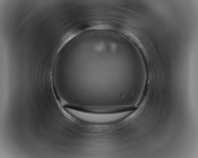 X0000088391425200705221105