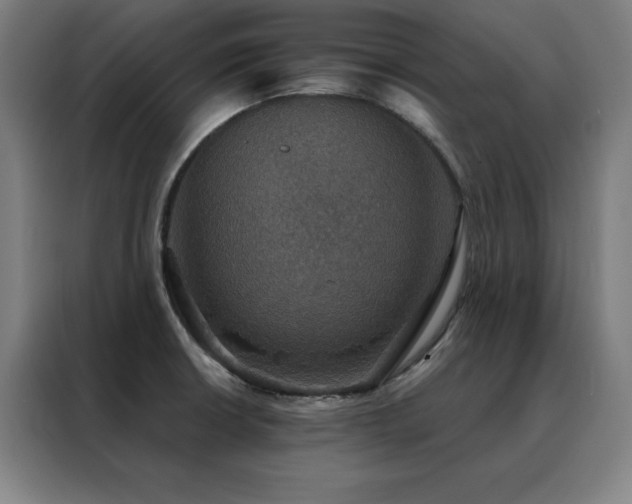 X0000088391426200705221105