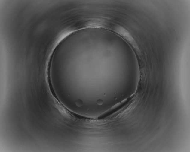 X0000088391427200705221105