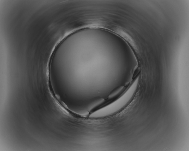 X0000088391428200705221105