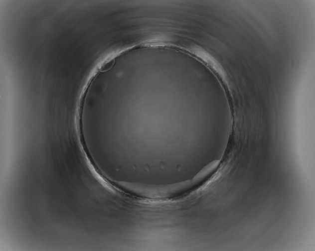 X0000088391429200705221105