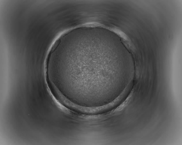 X0000088391430200705221105