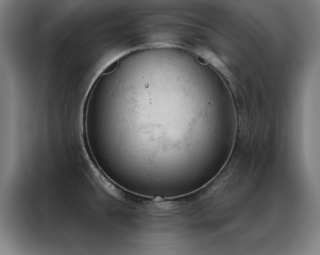 X0000088391431200705221105