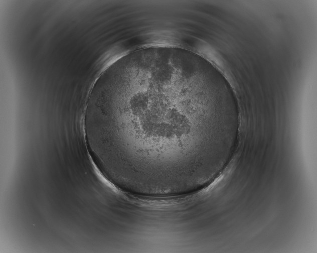 X0000088391433200705221105