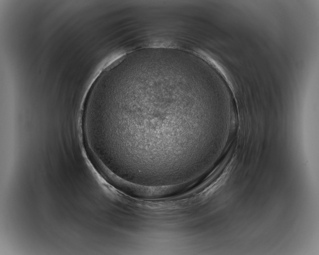 X0000088391434200705221105