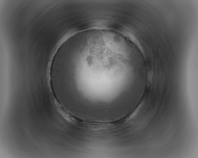 X0000088391435200705221105