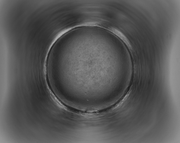 X0000088391436200705221105