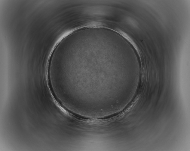 X0000088391437200705221105