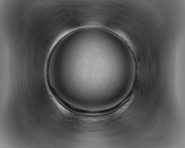 X0000088391438200705221105