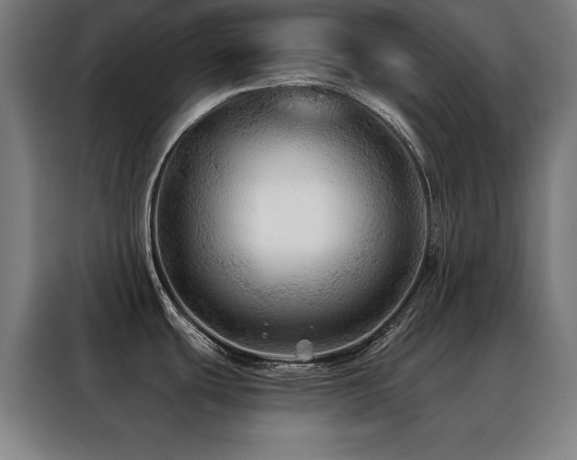 X0000088391439200705221105