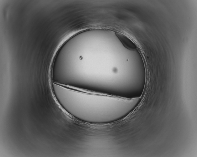 X0000088391440200705221105